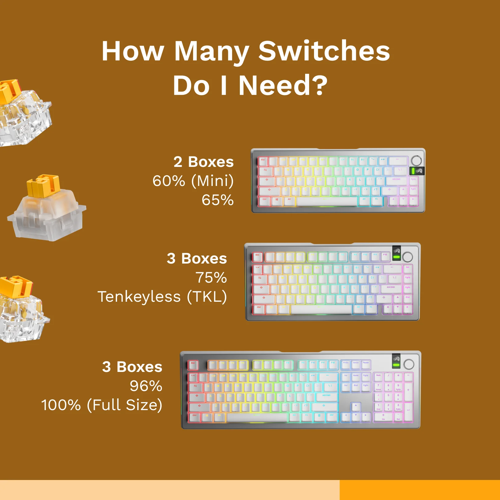 Panda HE Switches - Image 4